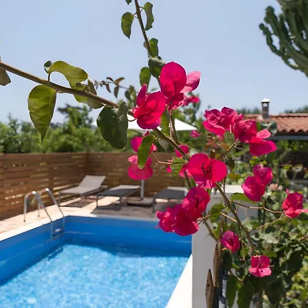 Elysian * Andimáhia