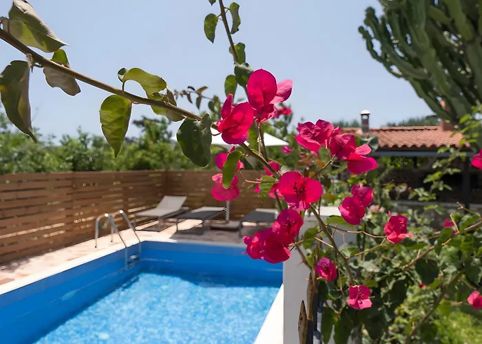 Elysian * Antimácheia